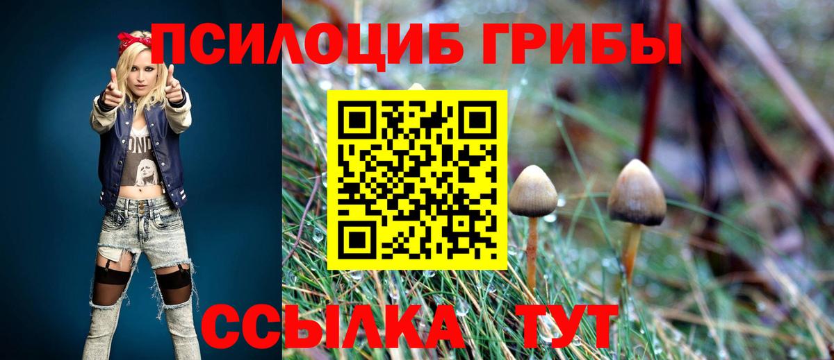 Галлюциногенные грибы Psilocybine cubensis  купить закладку  Трёхгорный  Псилоцибиновые грибы Cubensis  Вход с VPN 